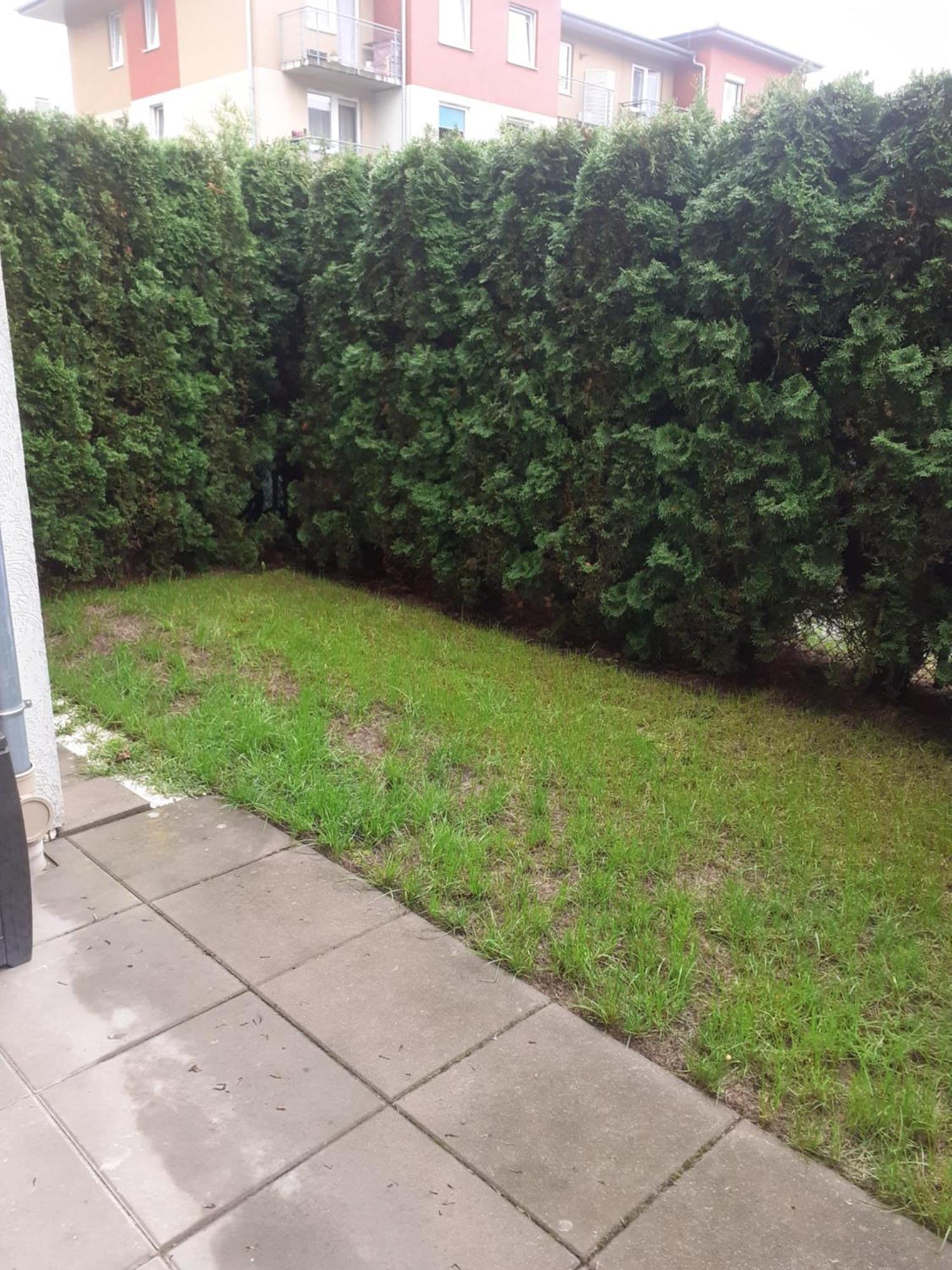 Sloneczny Apartament Z Malym Ogrodkiem Wejherowo Exterior foto